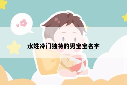 水姓冷门独特的男宝宝名字