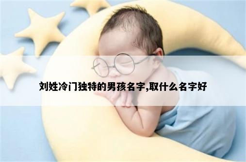 刘姓冷门独特的男孩名字,取什么名字好