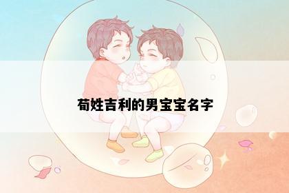 荀姓吉利的男宝宝名字